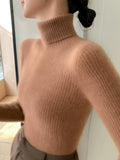2025 New Spring And Autumn With Women's High-Collar Sweater In Autumn And Winter To Thicker Thick Cotton Knitting Bottom Shirt