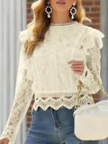 2025 New Solid-Color Bottom Sexy Lace Long-Sleeved Lace Silk Shirt Women's Coat Top