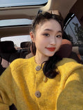 French Retro Yellow Raccoon Velvet Sweater Coat Women Loose Lazy Outside Wearing Knitted Blouse Spring And Autumn