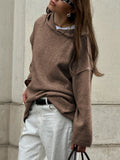 Dili Casual Simple Long-Sleeved Hoodie Wool Women's Clothing 2025 Autumn And Winter