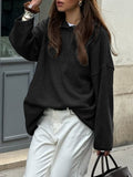 Dili Casual Simple Long-Sleeved Hoodie Wool Women's Clothing 2025 Autumn And Winter